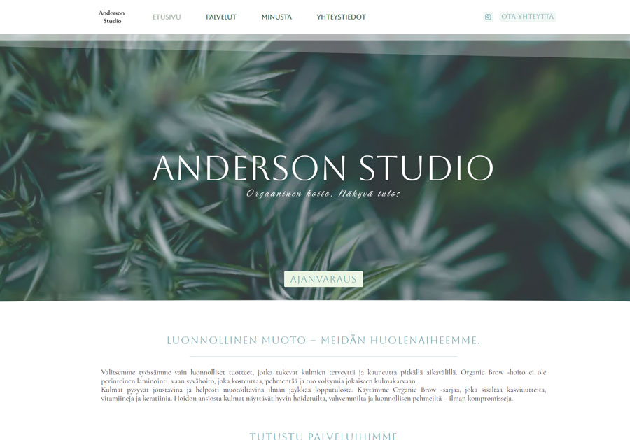 Website development on WordPress for a beauty salon "Anderson Studio"